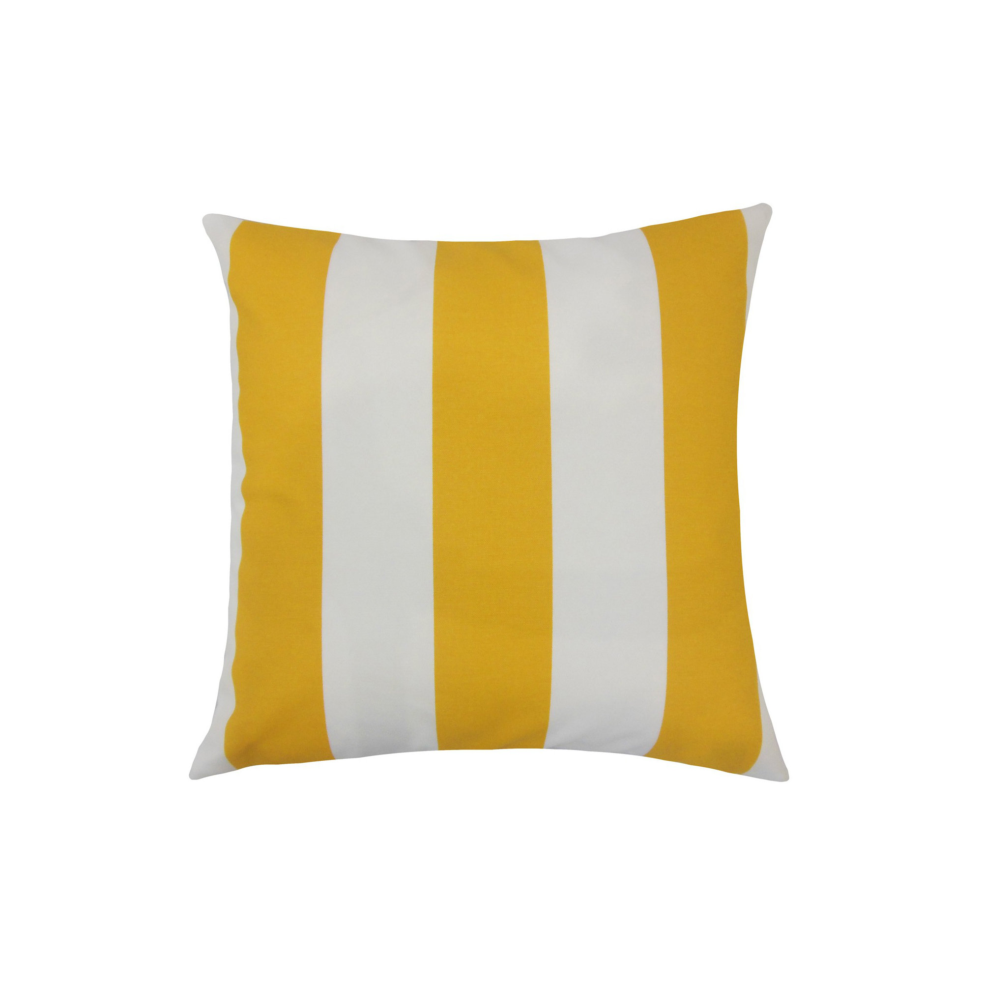 Throw Pillow, 18" H x 18" W x 5" D, Citrus