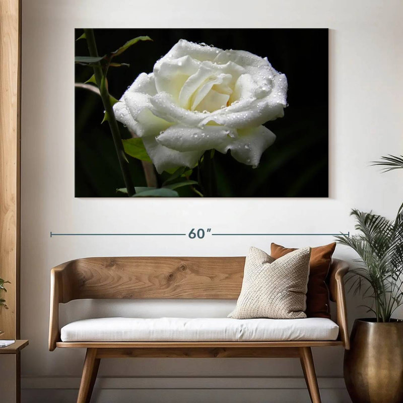 Harnek Dewdrops sur une rose blanche, H 34 po x l 51 po