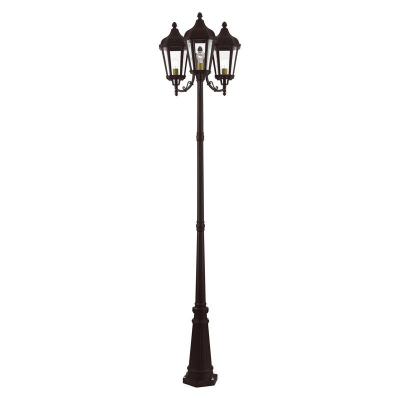 Anguel Transparent Lamp Post (Full), Bronze
