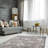 Dumont Oriental Indoor Rug-1526744914
