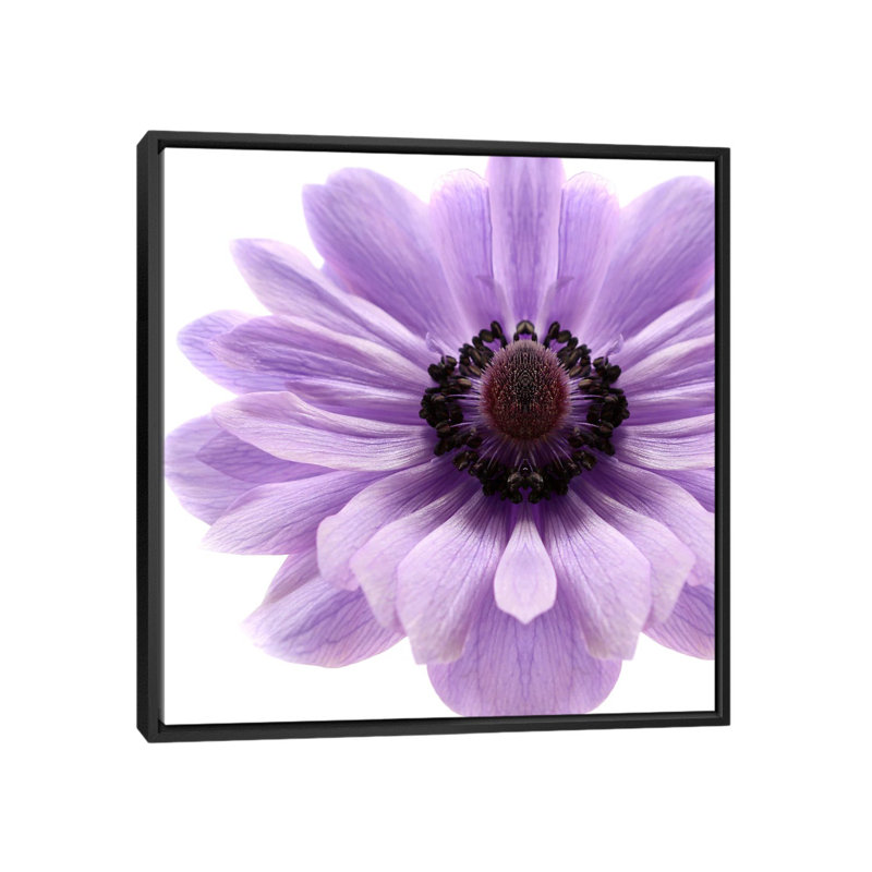 Impression sur toile pâle lilas anemone, H 18 po x l 18 po x P 1,5 po, Toile avec cadre noir, Pas de tapis