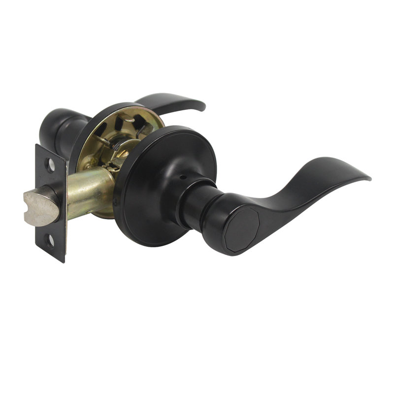 Passage Door Lever with Round Rosette, Black