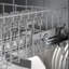 800 Series 24" 42 dBA ENERGY STAR Certified Dishwasher-1046994460