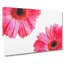 Two Spring Flowers In Pink - Wrapped Canvas Painting-56644453