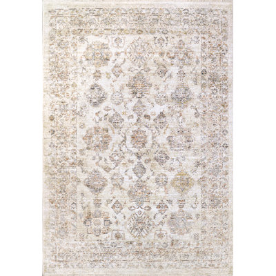 Rojin Oriental Indoor Rug