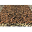 Tapis brun Testerman-19386214