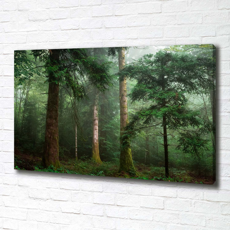Fog in the Forest 1 Piece Wrapped Canvas Wall Art