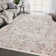 Slaboden Oriental Indoor Rug