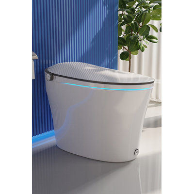 Bidet de toilette allongé DeerValley ADA