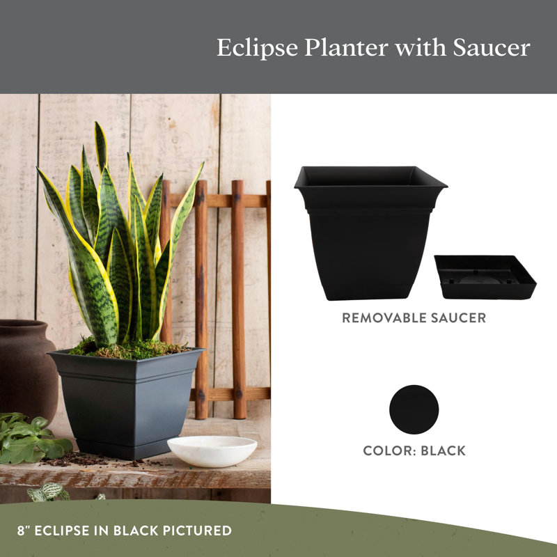 Jardinière carrée en plastique avec sauce, Noir