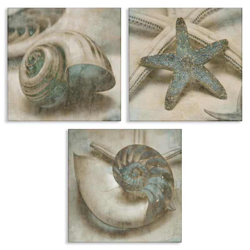«Star Fish and Sea Shells Distressed Texture Blue Tan Design» par John Seba, ensemble de 3 reproductions d'art graphique
