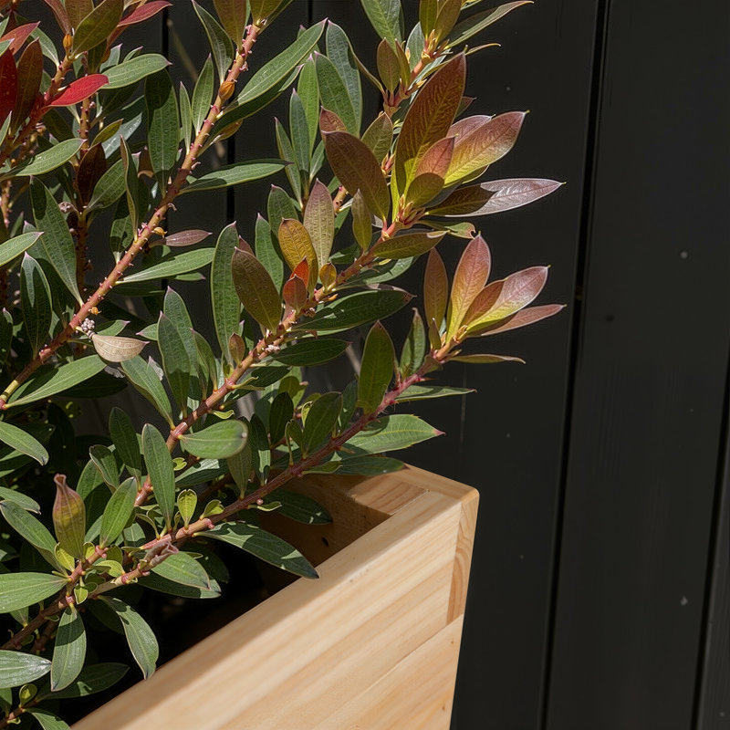 Boîte à fleurs élégante - Jardin élégant, 1