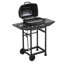OpulentOasis 4947578261 Single Burner No Gas Grill