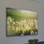 Parvez Taj - Wrapped Canvas Print-12845250