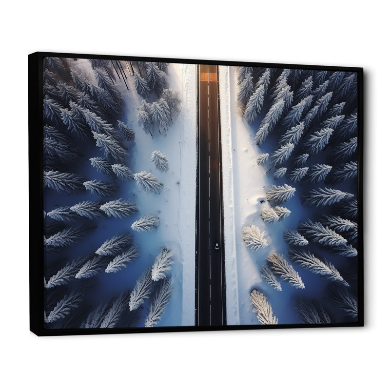 Endless Road Into Winter Forest I - Art mural mural, Cadre flottant noir, H 30 po x l 40 po x P 1,5 po
