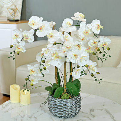Vanity Art 27.95 in. H Phalaenopsis Orchids Floral Arrangement in Bamboo Woven Pot