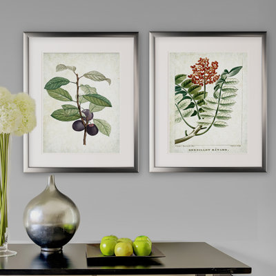 «Vintage Botanical Sketch X», ensemble de 2 reproductions de peintures à l'acrylique encadrées