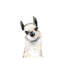 Llama by Mercedes Lopez Charro - Wrapped Canvas Painting-1649165099
