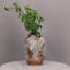 Grand vase rustique en céramique rustique, pot de terre cuite délavé blanc patiné pour décoration intérieure, décoration de table, de salon, de tablette, de cheminée