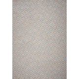 Geometric Area Rug in Beige