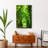 " Green Forest Path "