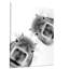 1 Piece Wrapped Canvas Wall Art