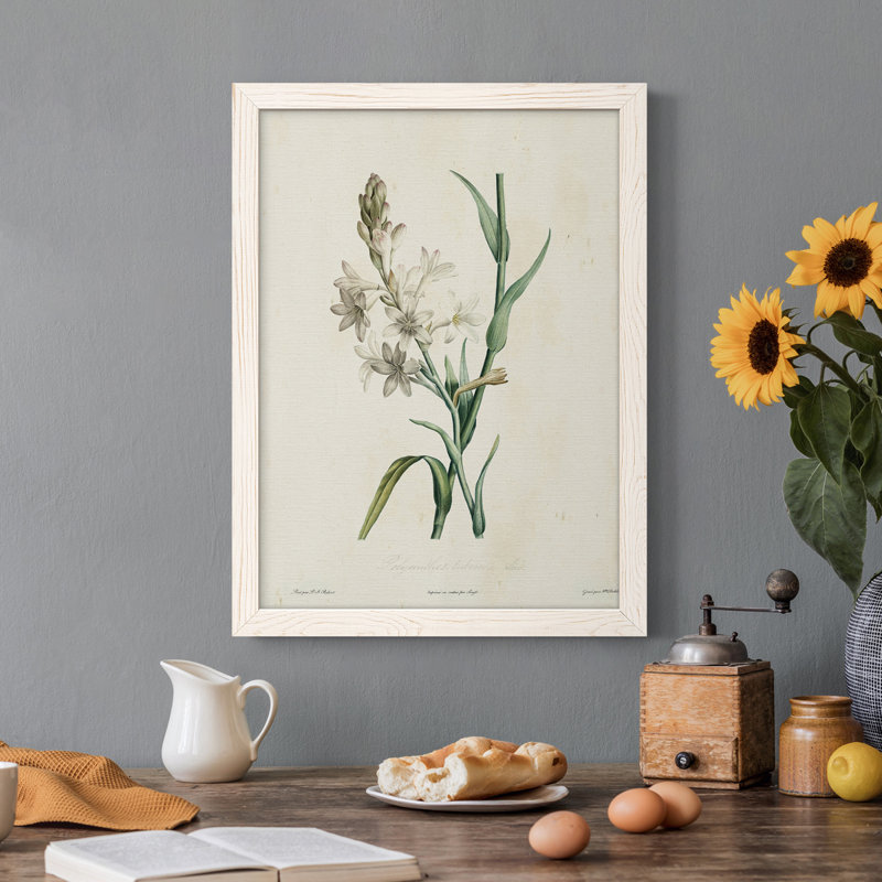Toile encadrée de qualité supérieure Traditional Botanical IV - prête à être accrochée, H 20 po x l 17 po x P 1 po, Blanc