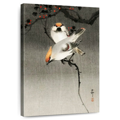 Oiseau cendré bohémien Brampt