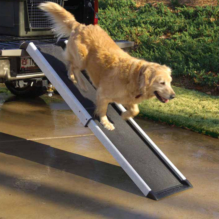 Rampe intelligente 17" pour animaux Kingon