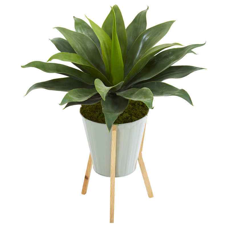 Plante agave artificielle en pot de fleurs