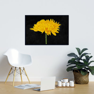 " Yellow Flower In The Dark "