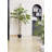 70'' Faux Fiddle Leaf Fig Tree in Pot