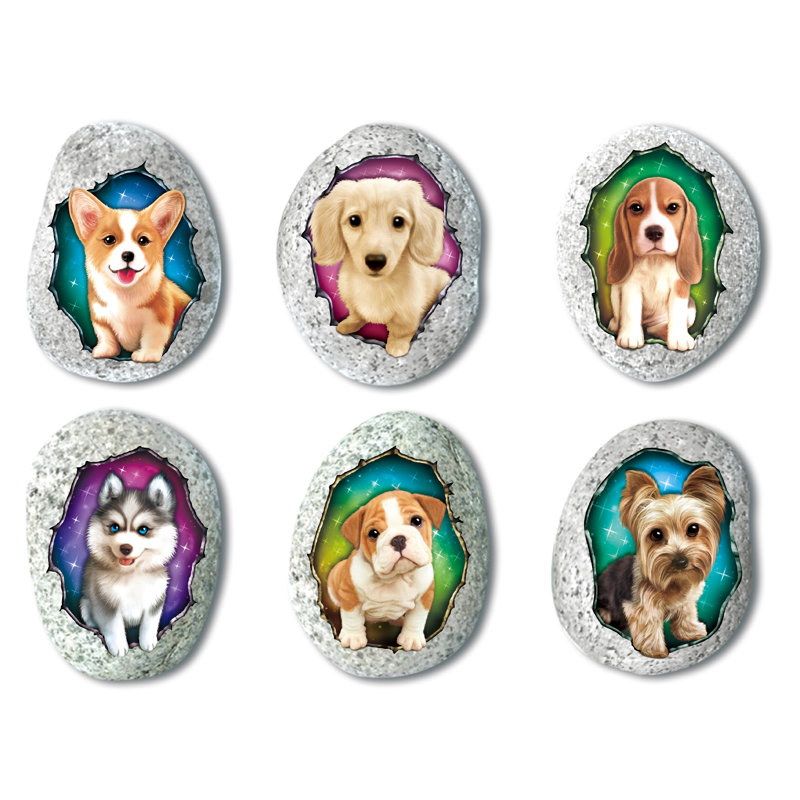 Ensemble 6 pièces Rock & Rub On - Chiens