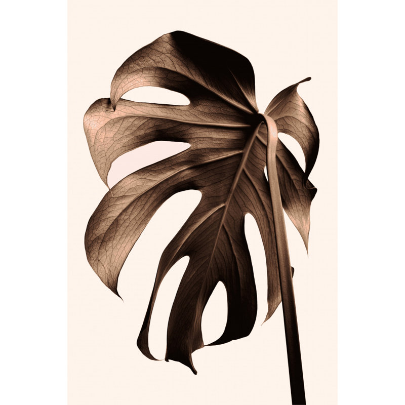 Wrapped Canvas Print, 50.8 cm H x 76.2 cm W