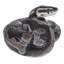 STATUE PYTHON REGIUS BALL