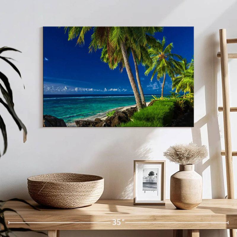 Palmiers Gillard Rarotonga, H 16 po x l 24 po
