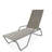 Outdoor Rust-Resistant Metal Chaise Lounge-19510309-48935081