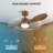 Chantha 42'' Ceiling Fan with LED Lights