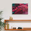 «Feather» par PhotoINC Studio-766199958