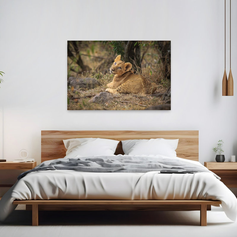 Curious Lion Cub Gaze Peaceful Abstract Contemporary Cat Lion Nature Wildlife Wall Art Print, 101.6cm H x 152.4cm W