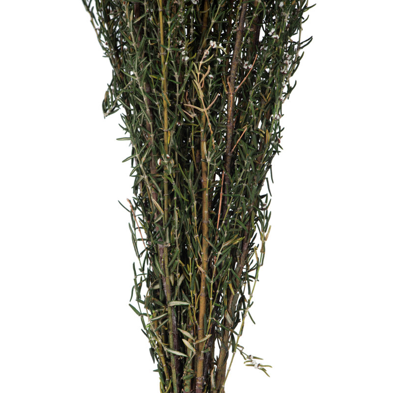 Plante à feuillage préservé 22 po, Blanc