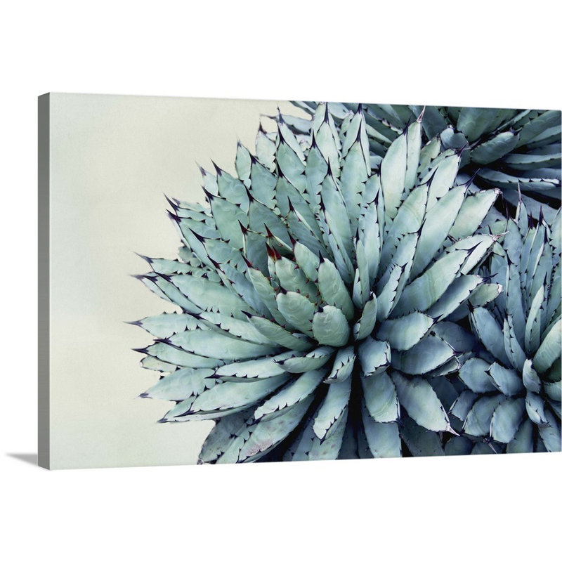 « Green Crush IX » par Elizabeth Urquhart-reproduction de photo sur toile, H 16 po x l 24 po x P 1,25 po, Toile tendue