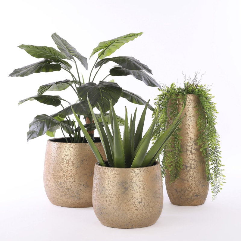 Thresa Pot Planter, 31 cm H x 38 cm W x 38 cm D