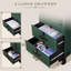 Housse à 2 tiroirs Byootique Rolling Nail Cosmetology pour Nail Tech