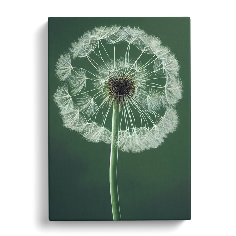 Dandelion Portrait Vol.2 - Wrapped Canvas, 50cm H x 35cm W x 3cm D