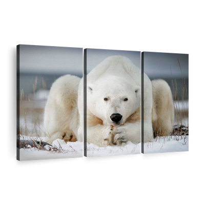 " Yoga Polar Bear " on