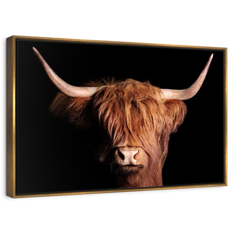 Vache écossaise Highland, Cadre flottant doré, 37 po x 25 po