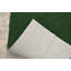 Tapis vert artificiel intérieur / extérieur en gazon adapté aux animaux de compagnie Anees-22819134