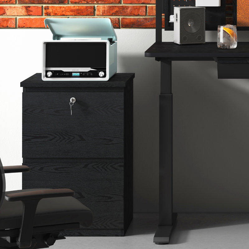 19'' Wide 2 -Drawer File Cabinet, Black