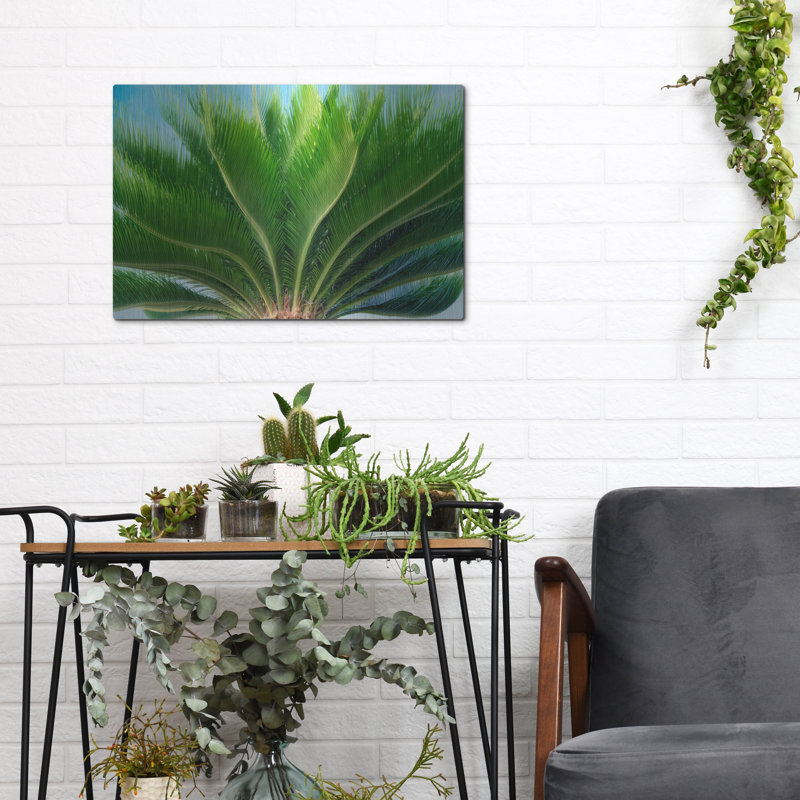 «Tropical III» par Dennis Frates, H 12 po x l 16 po